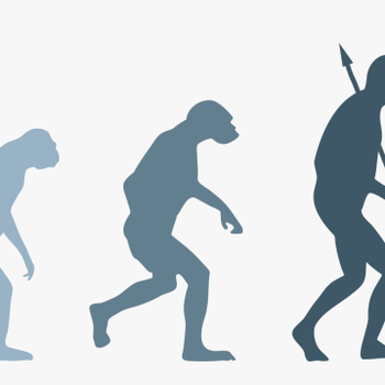 Human Evolution Png - Evolution Of Man Png, transparent png download