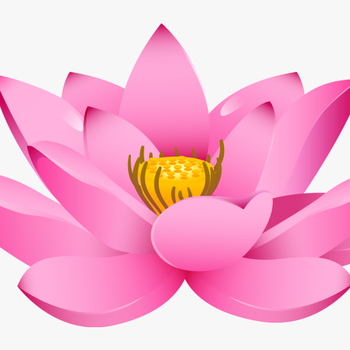 Lotus Flower Png - Lotus Png Hd, transparent png download