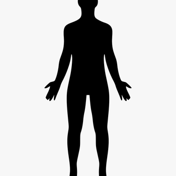 Body Png Free - Human Clipart, transparent png download
