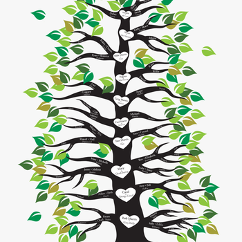 Image Result For Family Tree With Roots And Branches - Family Tree With Roots Clipart, transparent png download