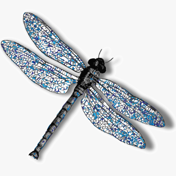 Download Dragonfly Png Background Image - Transparent Background Dragonfly Transparent, transparent png download